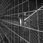 Black and white_0022.jpg